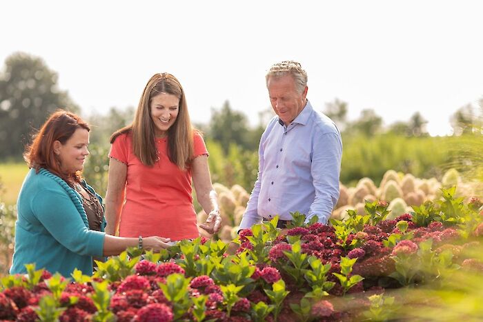 Magical Marketing Team - North America