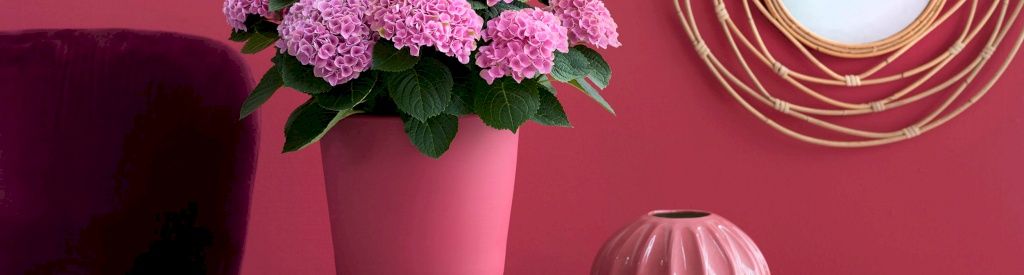 The perfect room temperature for a Magical