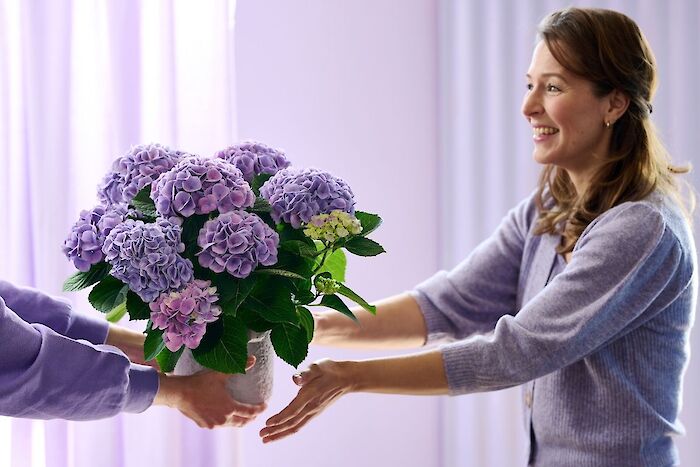Easter Decor with Magical Hydrangea