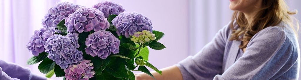 Easter Decor with Magical Hydrangea