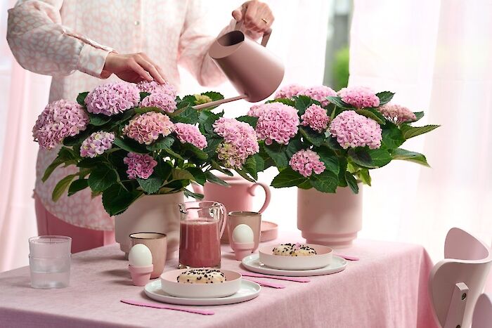 Tips for a Magical Easter