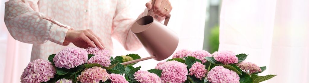 Tips for a Magical Easter