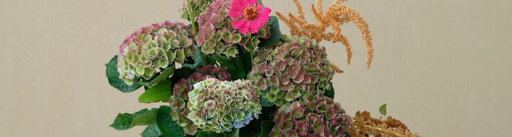 DIY: a beautiful bouquet with Magical Hydrangea