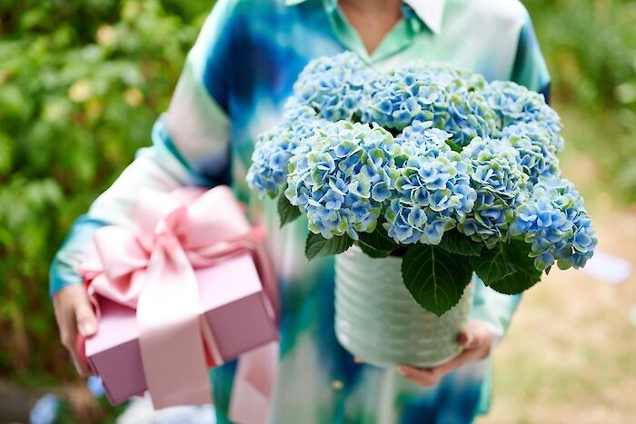 Which color makes the best Mother’s Day gift?