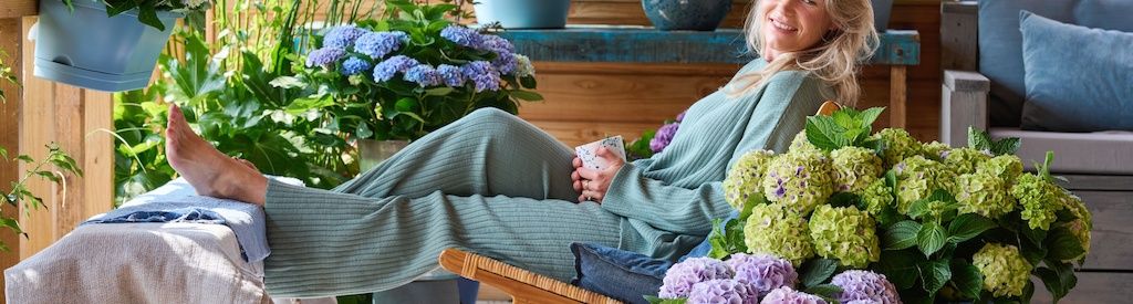 How to Help Your Hydrangea Thrive During Hot Summer Days